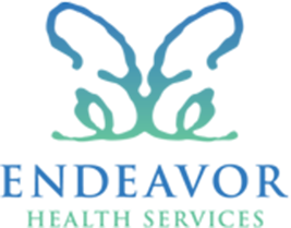 Endeavor Health Services